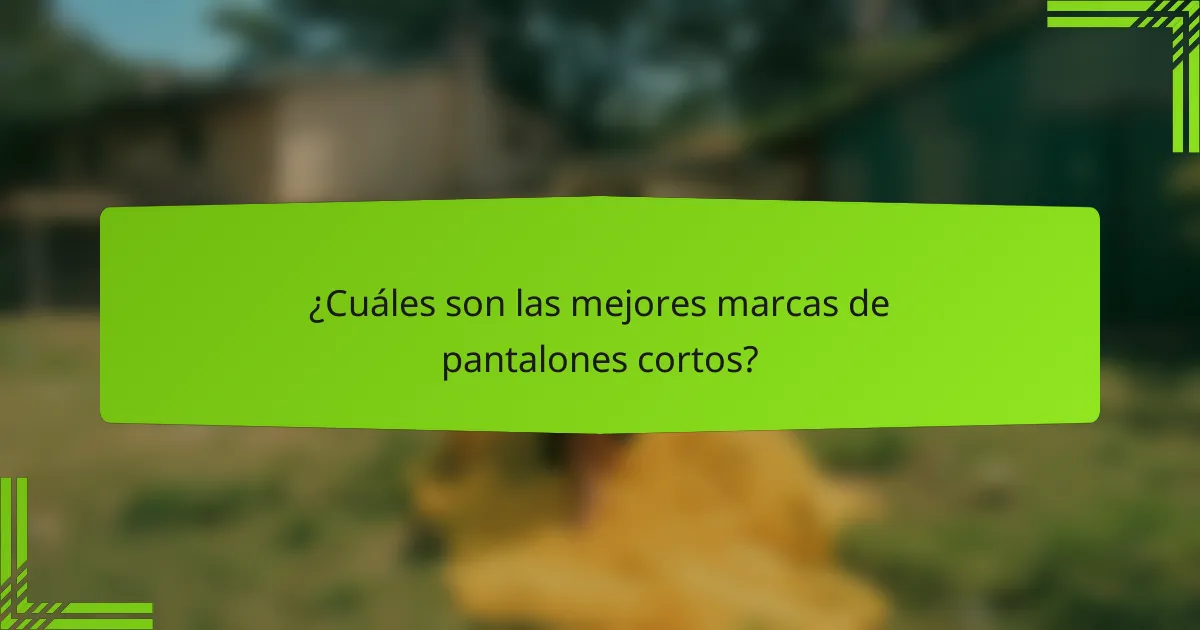 ¿Cuáles son las mejores marcas de pantalones cortos?